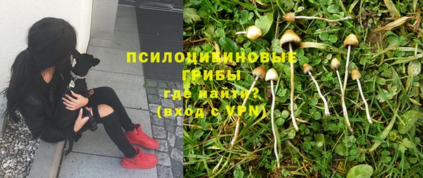 экстази Балахна