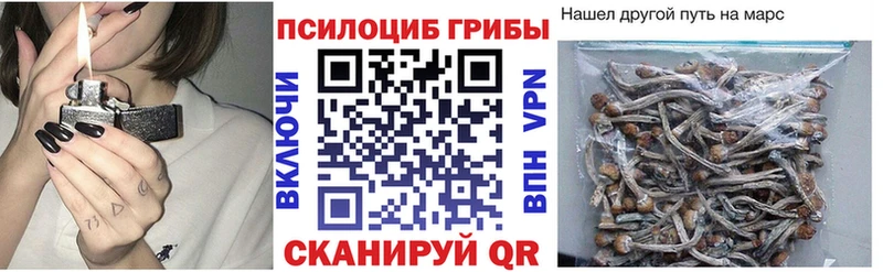 наркошоп  mega ссылки  нарко площадка Telegram  Темрюк  Псилоцибиновые грибы Magic Shrooms 